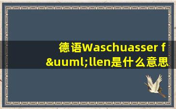 德语Waschuasser füllen是什么意思